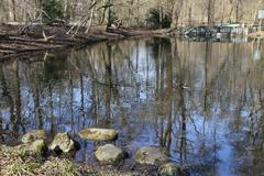 Würm River flowing through Pasinger Stadtpark in Munich