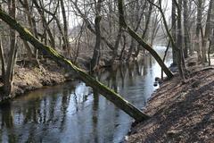 Würm River in Pasinger Stadtpark, Munich