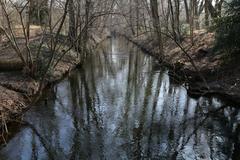 Protected area in Pasinger Stadtpark, Munich with Wuerm river