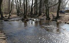 Protected area in Pasinger Stadtpark, Munich