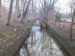 Würm River in Munich Pasing Stadtpark