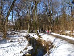 Pasinger Stadtpark in winter 2010