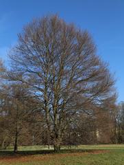 Pasinger Stadtpark in Munich