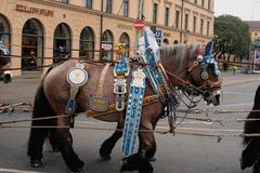 Horse in front of a carriage with beer barrels and people at Odeonsplatz in Munich