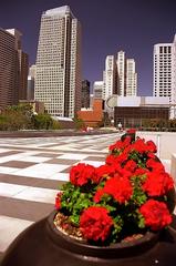 Yerba Buena Gardens in San Francisco with a view of the park's fountains and surrounding skyscrapers