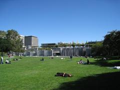 Yerba Buena plant