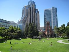 Yerba Buena plant