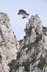 Scenic view of Calanques in Marseille