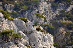 Calanque de Marseille coastline