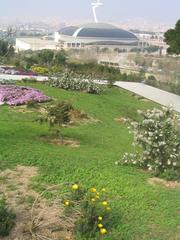 Botanical garden of Barcelona in 2004 with various plants