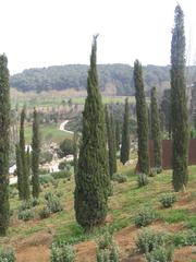 Botanical garden of Barcelona, 2004