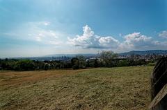 Panoramic view of El Jardí Botànic de Barcelona and 1992 Summer Olympics site