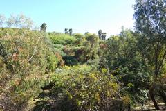 General view of Jardín Botánico de Barcelona