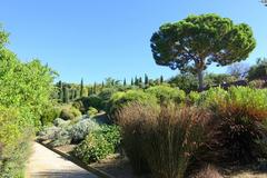 General view of Jardín Botánico de Barcelona on Montjuïc hill