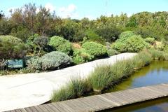 Jardín Botánico de Barcelona on Montjuïc hill