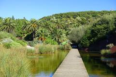 General view of Jardín Botánico de Barcelona on Montjuïc hill in Barcelona, Spain