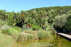 General view of Jardín Botánico de Barcelona on Montjuïc hill, Barcelona, Spain