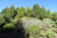 Jardín Botánico de Barcelona with lush greenery on Montjuïc hill