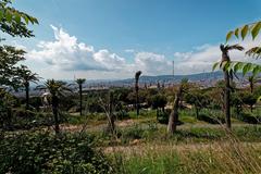 Scenic view of Barcelona's Montjuïc hill featuring the Botanical Gardens and Palau Nacional