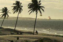 Cumbuco beach with palm trees and sandy shoreline