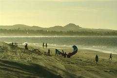 Cumbuco beach with palm trees and blue sky