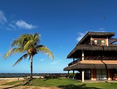 Beach view of Cumbuco with sandy shore and palm trees