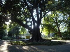 Glorieta Gabriela Ortega Gómez in Parque de María Luisa, Seville, Spain