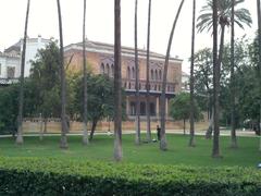 Palm tree trunks with the rear view of the Mudéjar Pavilion in the background at María Luisa Park, Seville