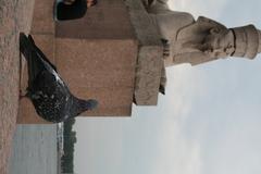 Quay with Sphinxes in Saint Petersburg