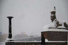 Scenic view of Vasileostrovsky District in St Petersburg with historic buildings and Neva River