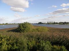 Bunthäuser Spitze in Hamburg Wilhelmsburg at the river Elbe