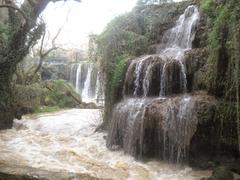 view of Düden Waterfalls with surrounding nature