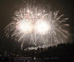 Prague New Year 2014 fireworks over Vltava river