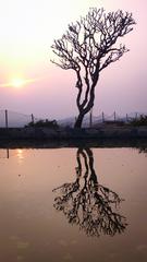 Sunset view from Anjanadri Temple in Hampi with Tungabhadra River and Vithala Temple complex in the background