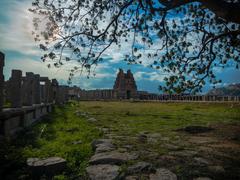 Sunset over Hampi ruins with a tree in the foreground