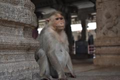 Group of monuments at Hampi, Karnataka