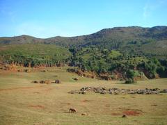 Elephants in Parque de la Naturaleza de Cabárceno