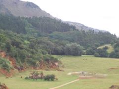 Cabárceno landscape with cliffs and lush greenery