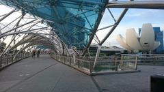 Helix Bridge at night