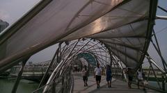 Helix Bridge in Singapore at night