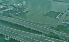 view of Helix Bridge from Singapore Flyer