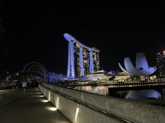 Helix Bridge in Singapore at night