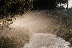 Early morning sprinklers in Toronto Botanical Gardens