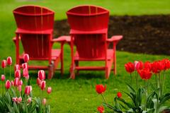 Toronto Botanical Gardens in spring, featuring lush greenery and vibrant flowers