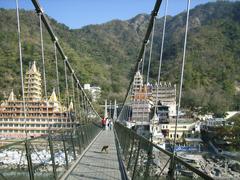 Monkey crossing Laxman Jhula bridge