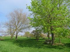 Picnic tables at Fort Revere Park in Hull, Massachusetts