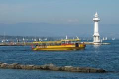 Geneva mouette in front of the lighthouse