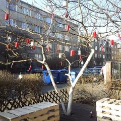 holiday-decorated Christmas tree next to a cafe in the morning