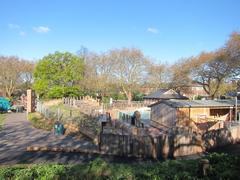 Penguin enclosure at London Zoo