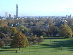 View from top of Primrose Hill with BT Tower and London Eye